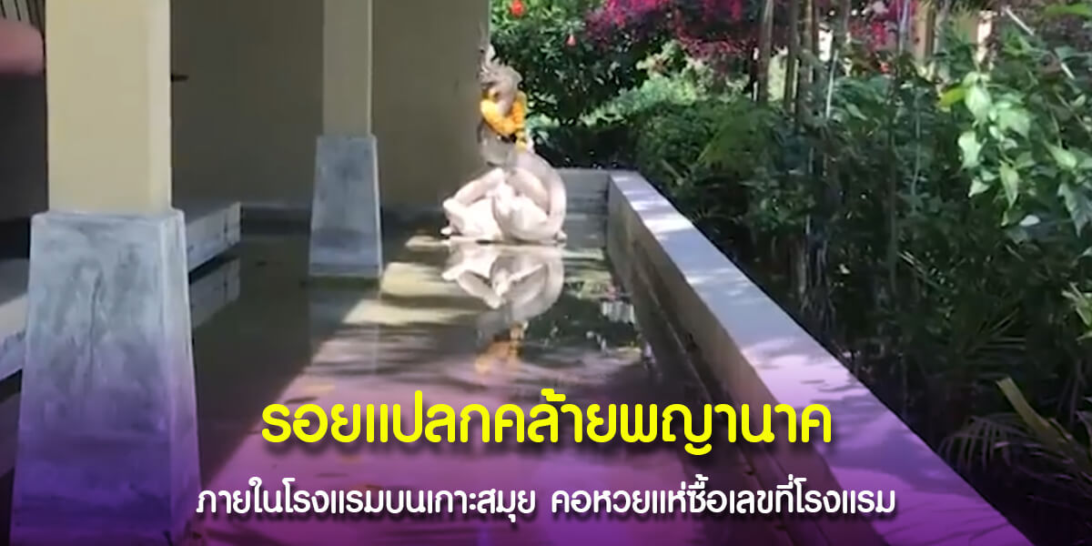 รอยแปลกคล้ายพญานาคภายในโรงแรมบนเกาะสมุย
